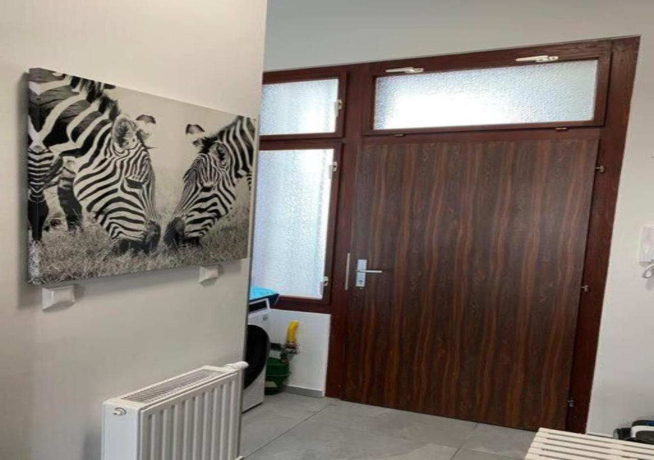 וינה Studio & Apartments Near Reumannplatz מראה חיצוני תמונה